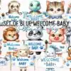 set-of-blue-welcome-baby-clipart-png