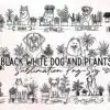 black-white-dog-and-plants-clipart