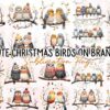 cute-christmas-birds-on-branch-clipart