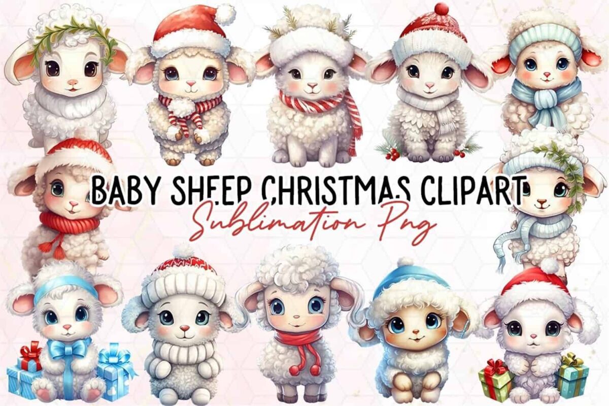 baby-sheep-christmas-clipart-png