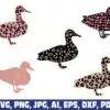 cheetah-print-duck