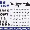 sharks
