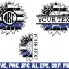 american-sunflower-thin-blue-line