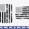 best-pawpaw-ever