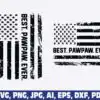 best-pawpaw-ever