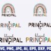 principal