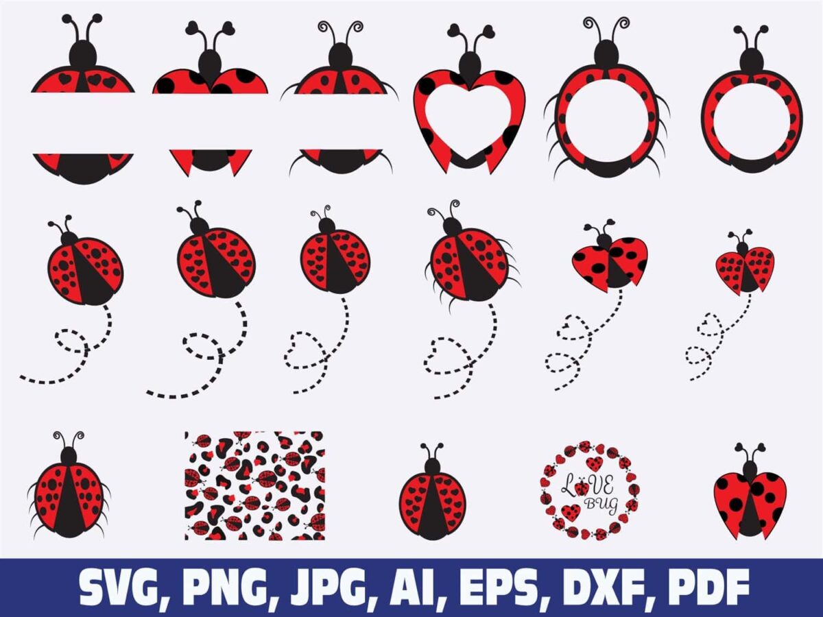 lady-bug