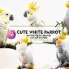 cute-white-parrot-watercolor-sublimation