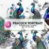 peacock-portrait-watercolor-clipart