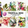 tropical-bird-watercolor-sublimation