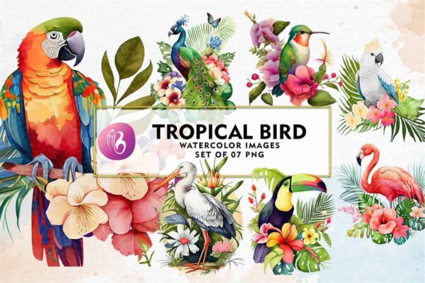tropical-bird-watercolor-sublimation