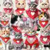 cats-red-bandana-collection-clipart-png