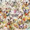floral-spring-butterflies-clipart-png