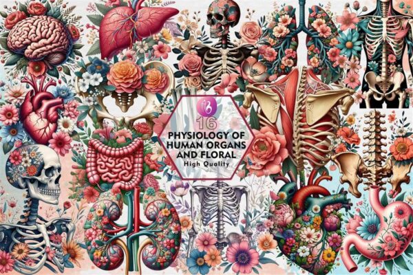 physiology-of-human-organs-and-floral