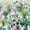 aquatic-plants-clipart-png-graphics