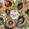 birds-natural-house-clipart-png