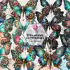 Steampunk Butterflies Sublimation steampunk-butterflies-sublimation
