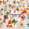 dried-pressed-flower-clipart-png