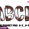 leopard-baseball-alphabet-doodle-font