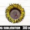 sunflower-sublimation-png
