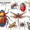 Insect Clipart Sublimation insect-clipart-sublimation