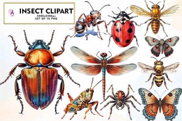 insect-clipart-sublimation