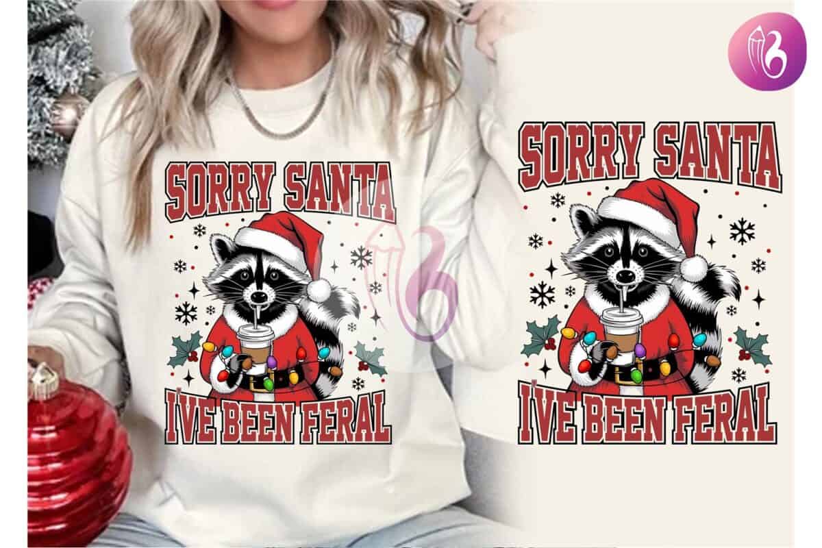 sorry-santa-funny-christmas-raccoon-png